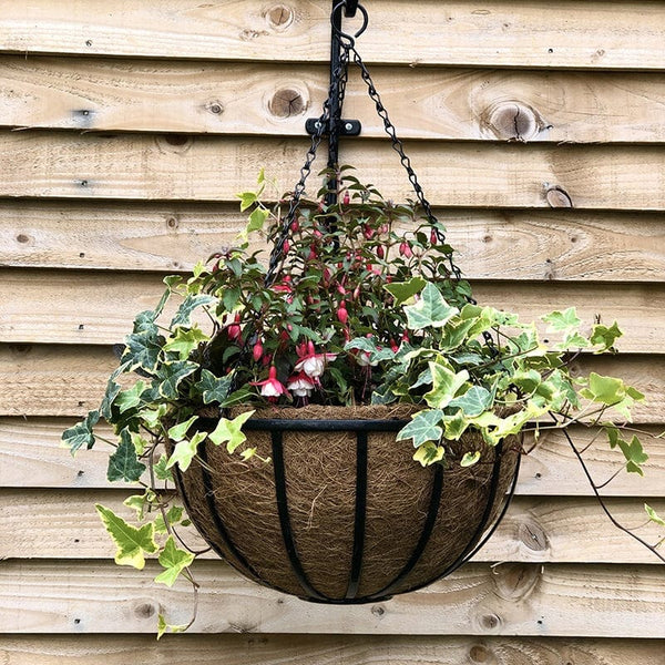 metal hanging baskets for plants Cambridge Metal Hanging Baskets & Bracket from Woolmans – Johnsons