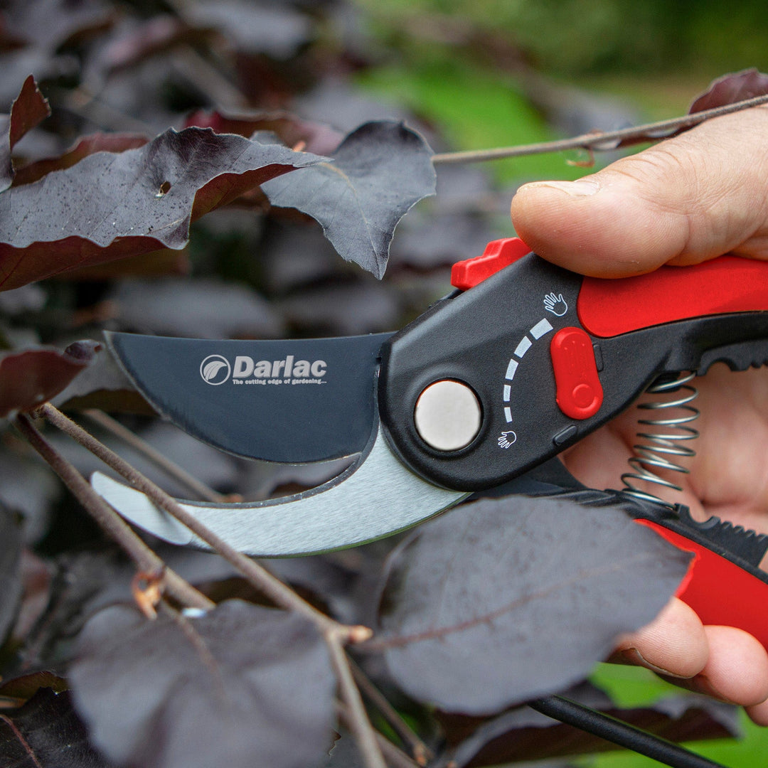 Darlac Adjustable Bypass Secateurs