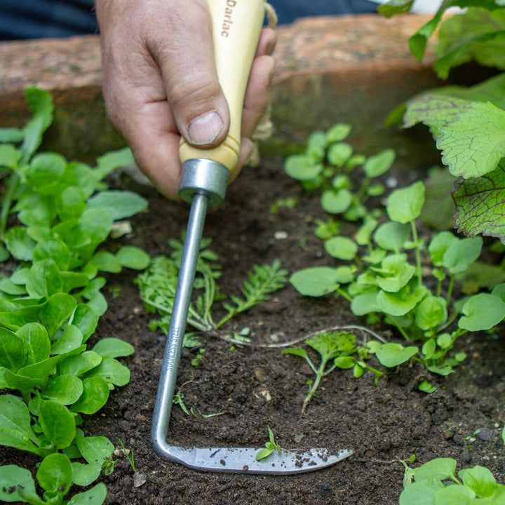 Darlac Bamboo Cape Cod Weeder