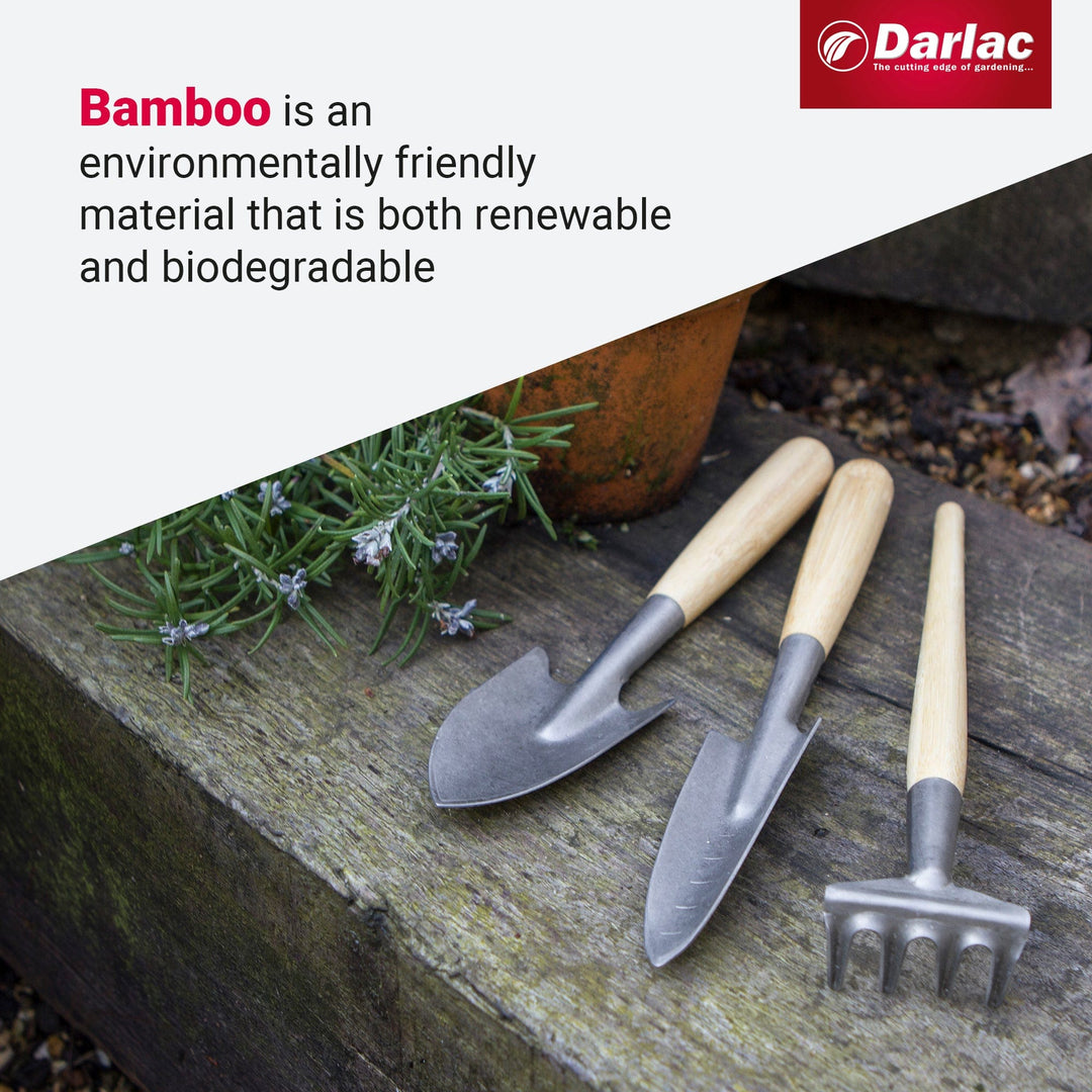 Darlac Bamboo Mini Essentials