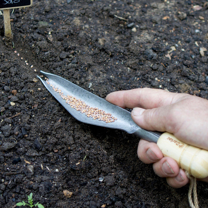 Darlac Bamboo Weeding & Seeding Trowel