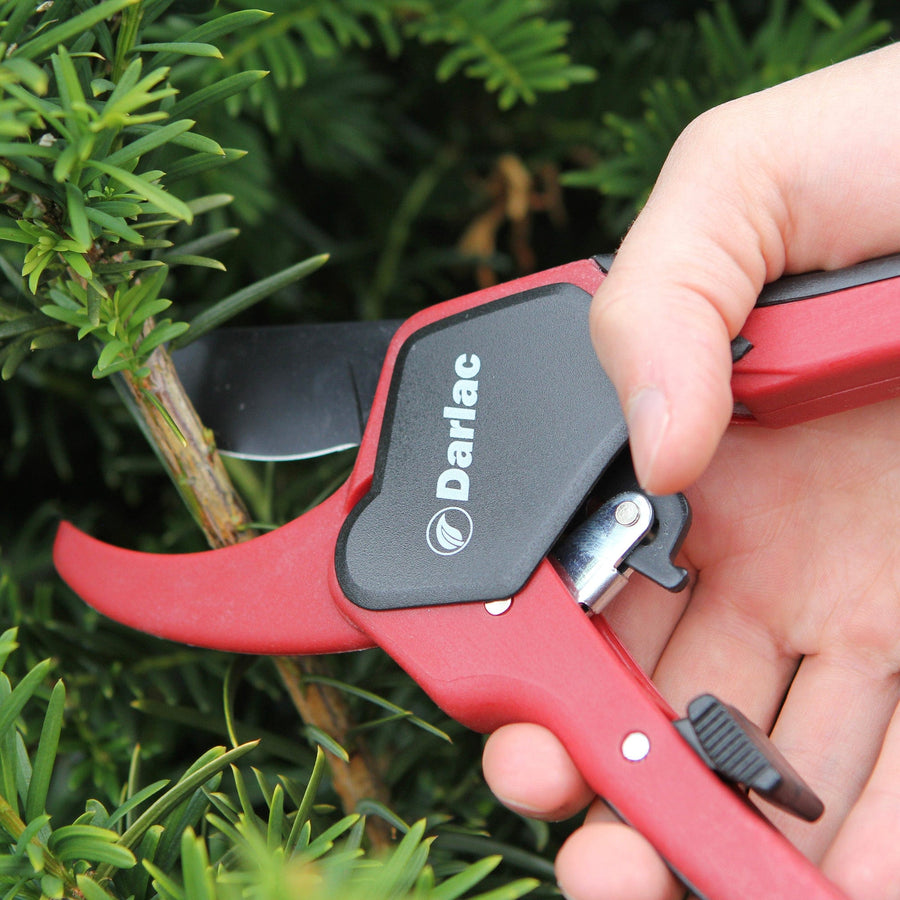 Darlac Classic Ratchet Secateurs