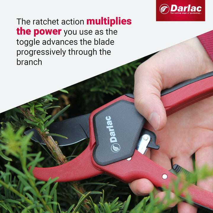 Darlac Classic Ratchet Secateurs