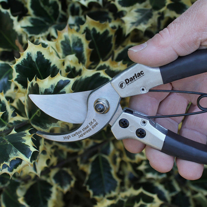 Darlac Compact Plus Secateurs