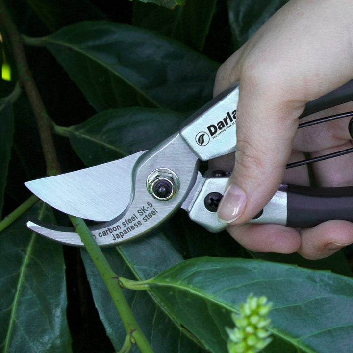 Darlac Compact Secateurs