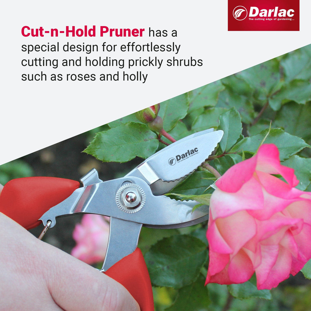 Darlac Cut-n-Hold Bypass Secateurs