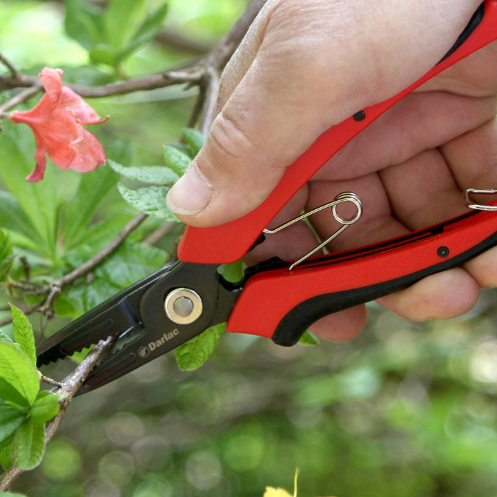 Darlac Cut-n-Hold Flower Snips