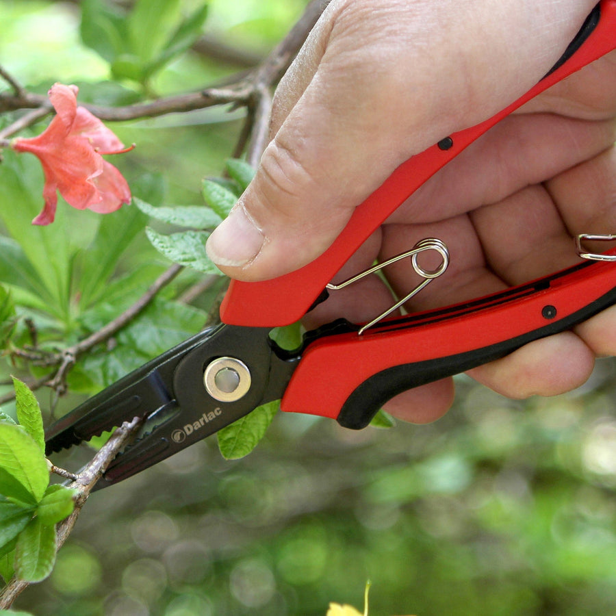 Darlac Cut-n-Hold Flower Snips