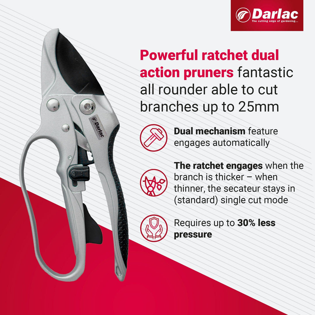 Darlac Dual Action Ratchet Secateur