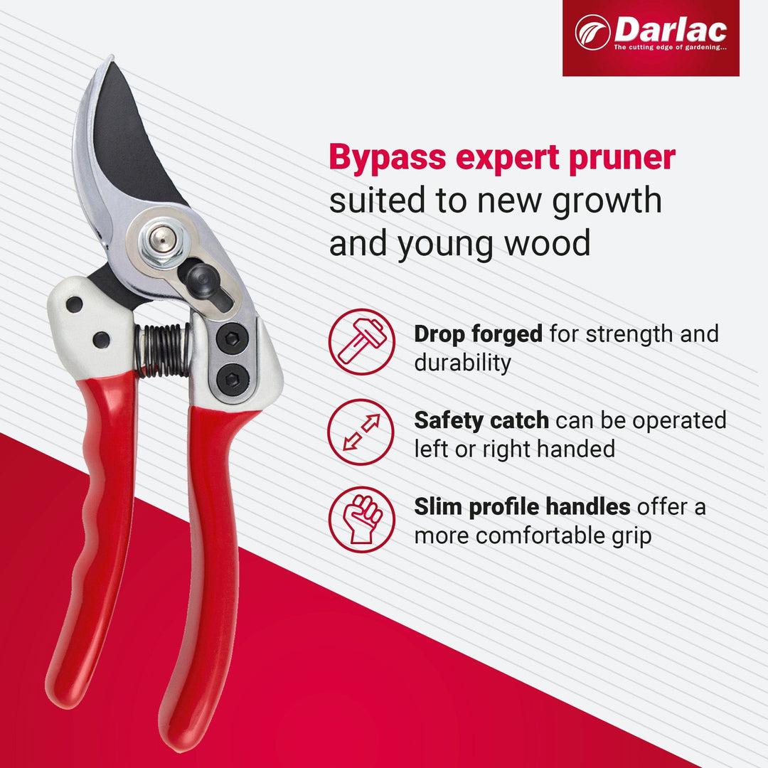 Darlac Expert Bypass Small Secateurs