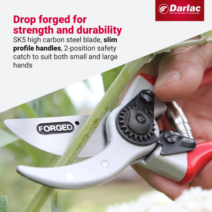 Darlac Expert Drop Forged Secateurs