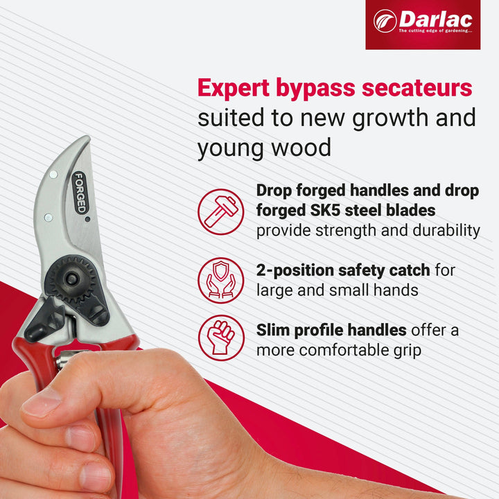 Darlac Expert Drop Forged Secateurs