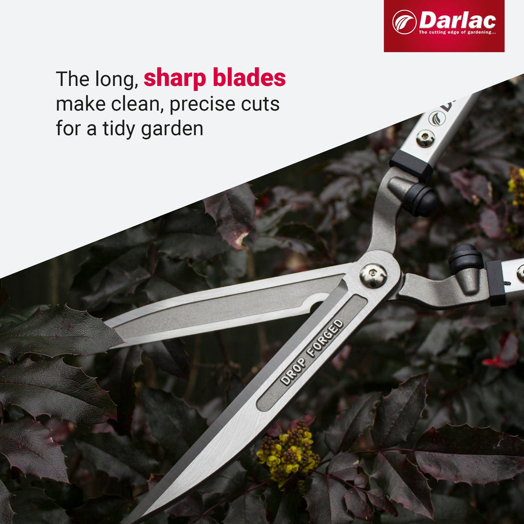 Darlac Expert Drop Forged Shear