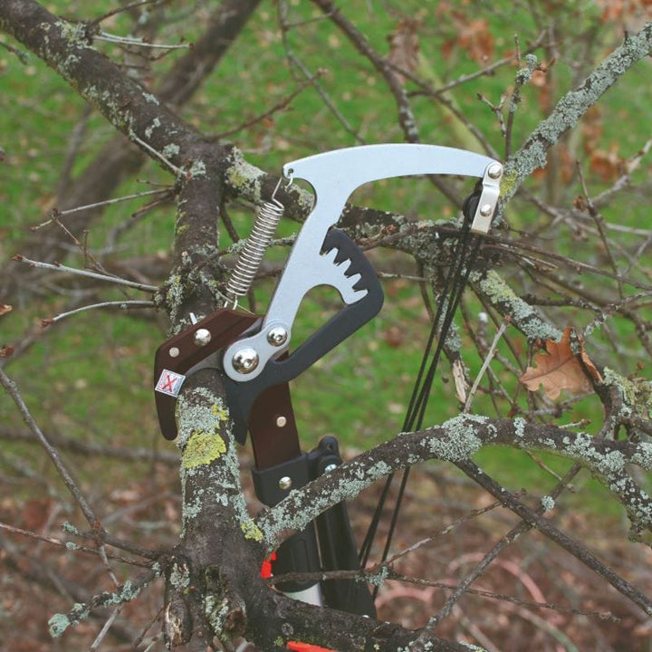 Darlac Expert Geared Bypass Tree Pruner