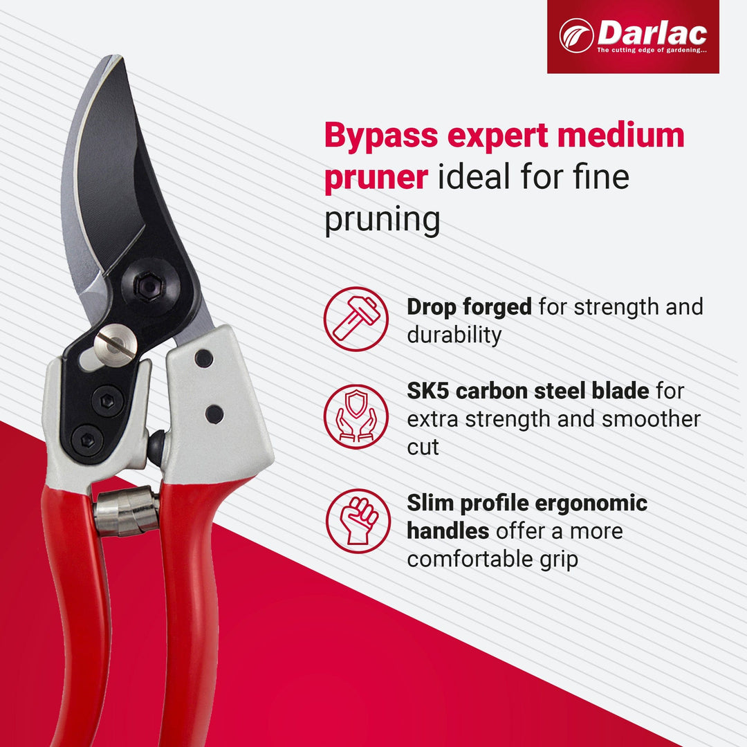 Darlac Expert Medium Bypass Secateurs