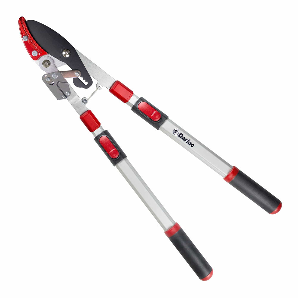 Darlac Heavy Duty Telescopic Ratchet Lopper