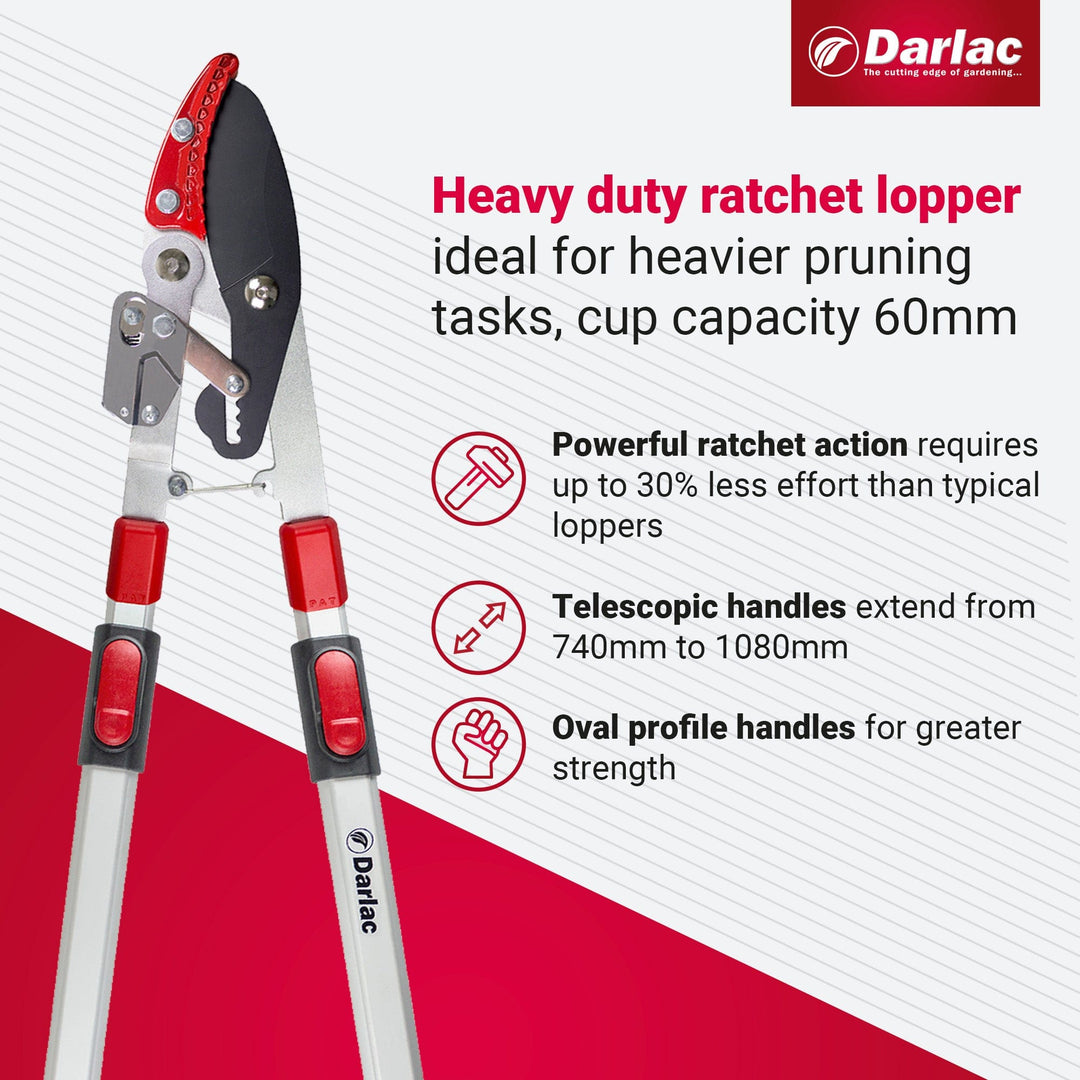 Darlac Heavy Duty Telescopic Ratchet Lopper