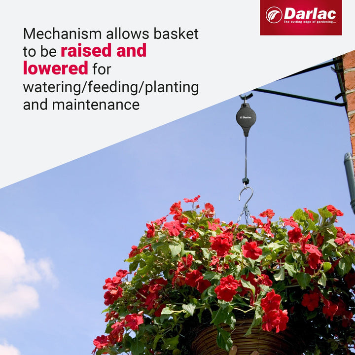 Darlac Hi-Lo For Hanging Baskets