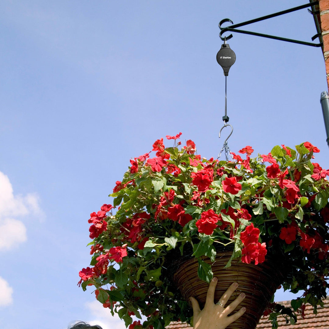 Darlac Hi-Lo For Hanging Baskets