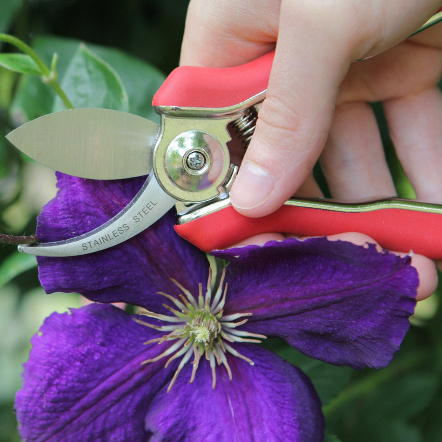 Darlac Mini Bypass Secateurs