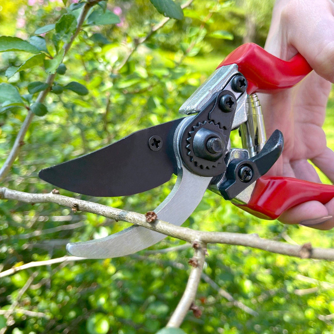 Darlac Professional Secateurs