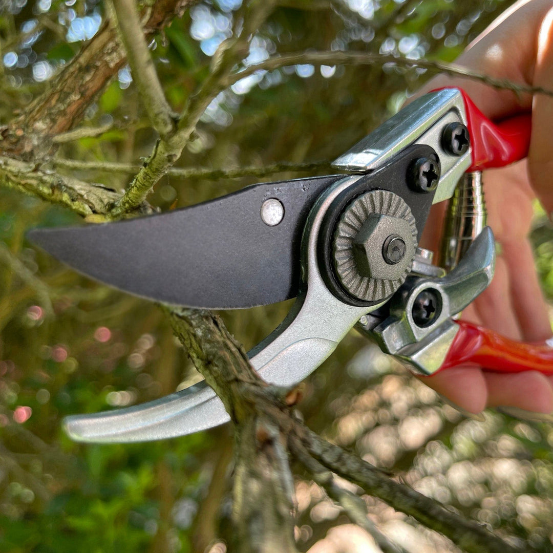 Darlac Small Bypass Pruner