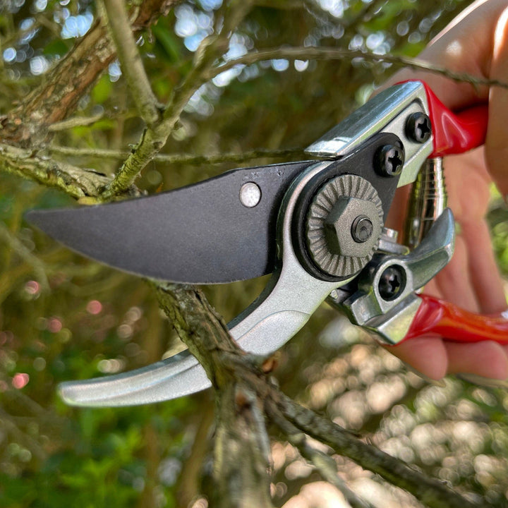 Darlac Small Bypass Pruner