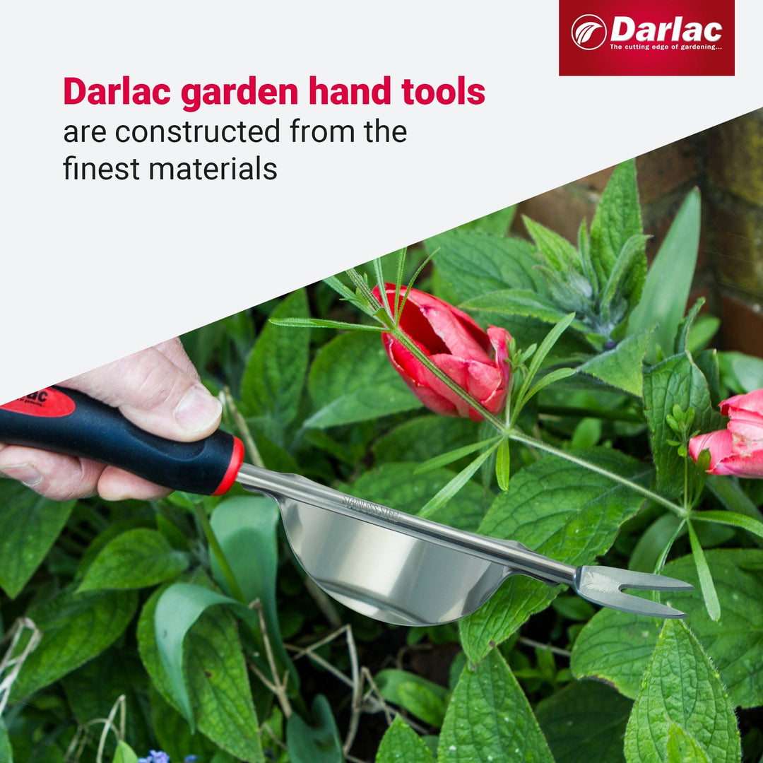 Darlac Stainless Steel Daisy Grubber