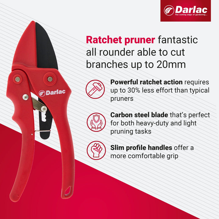 Darlac Standard Ratchet Secateurs