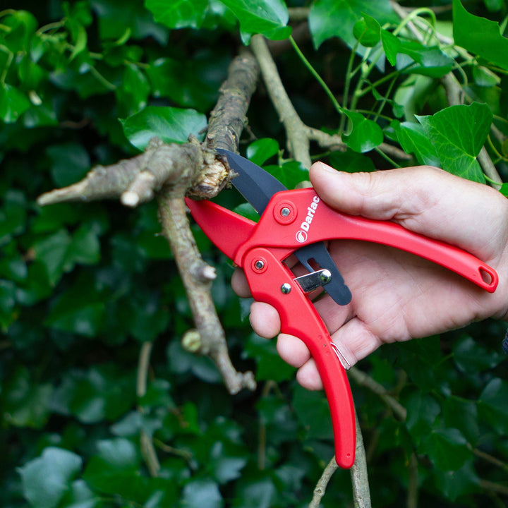 Darlac Standard Ratchet Secateurs