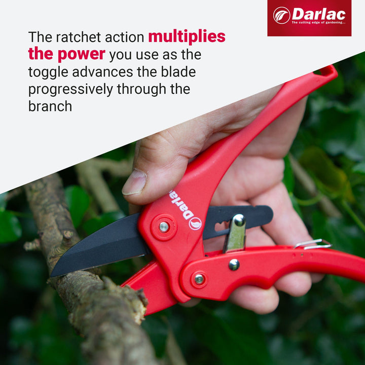 Darlac Standard Ratchet Secateurs