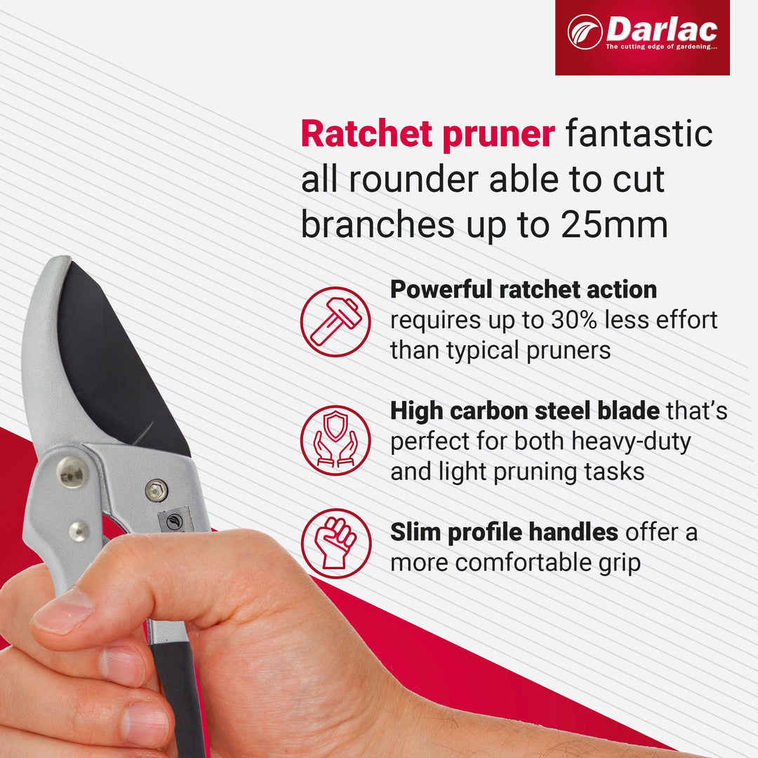 Darlac Super Classic Ratchet