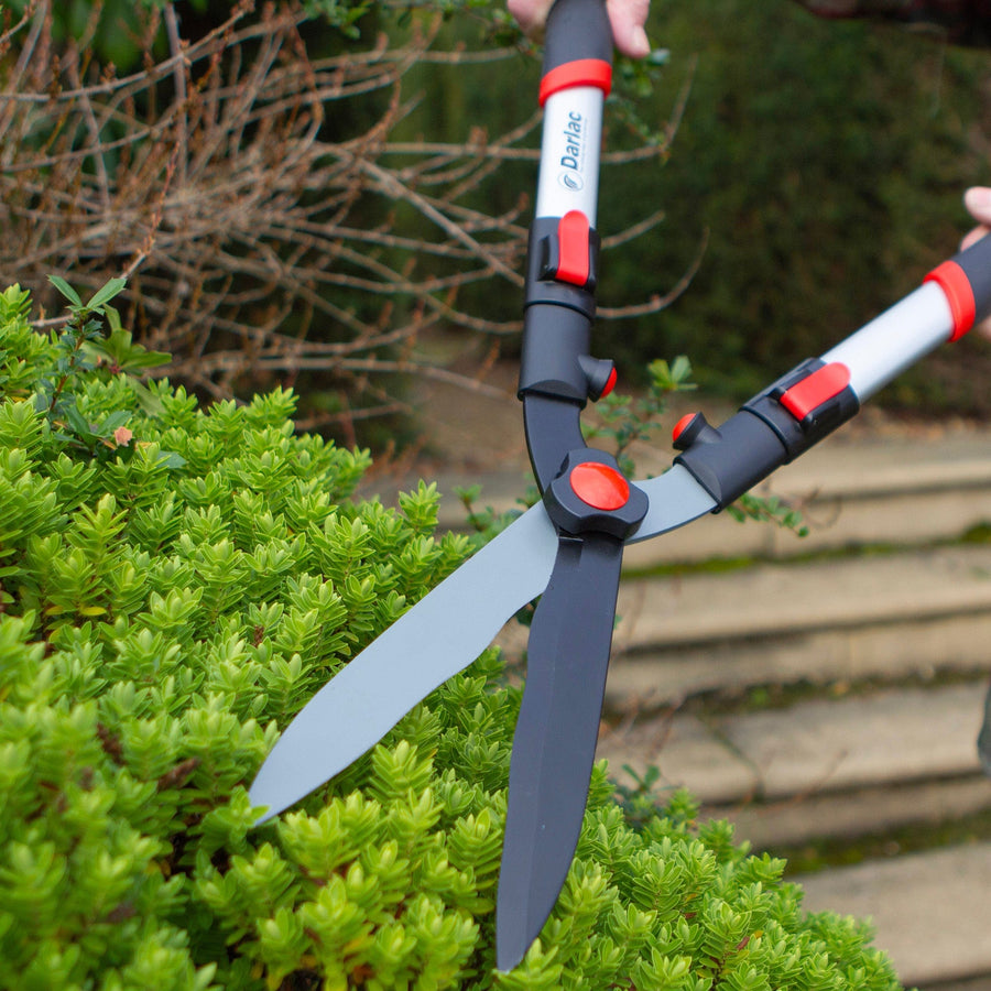 Darlac Telescopic Hedge Shear