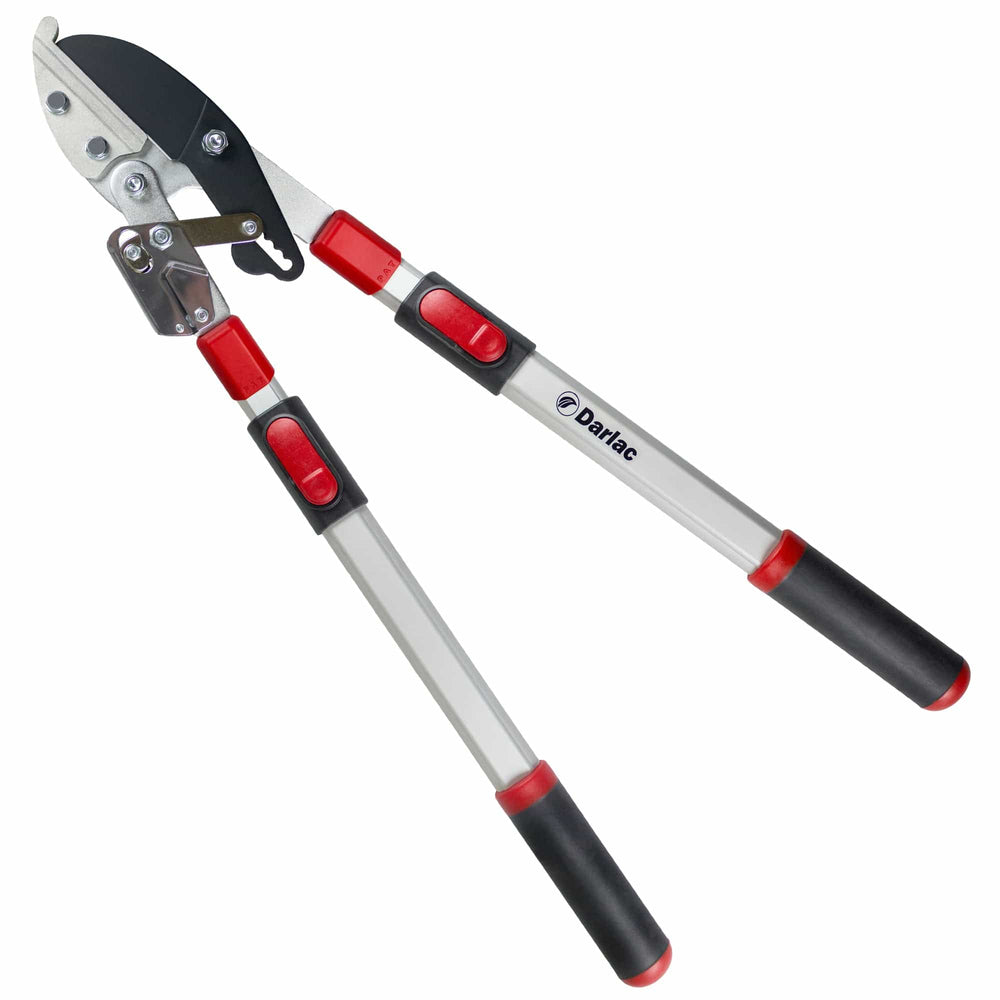 Darlac Telescopic Ratchet Lopper