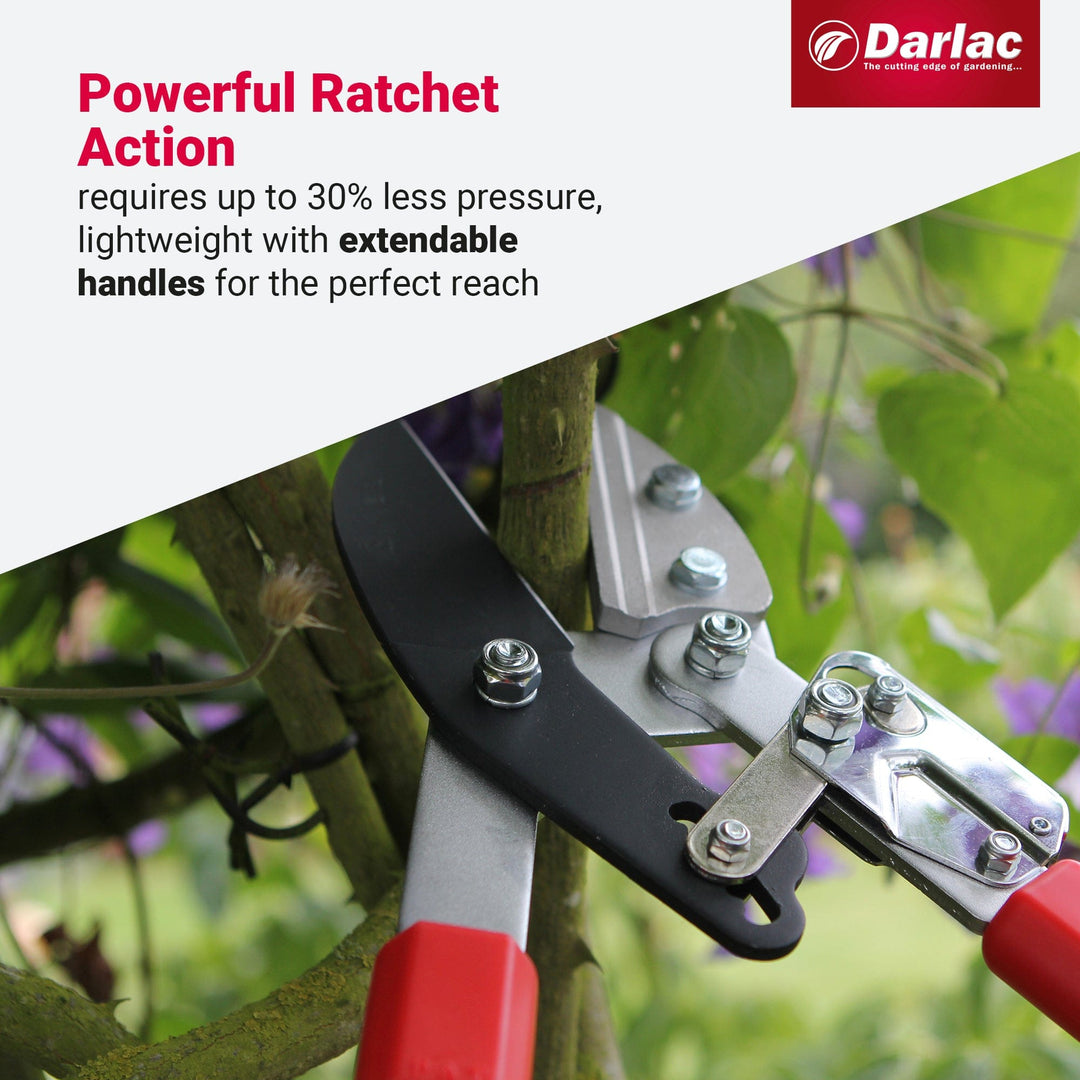 Darlac Telescopic Ratchet Lopper