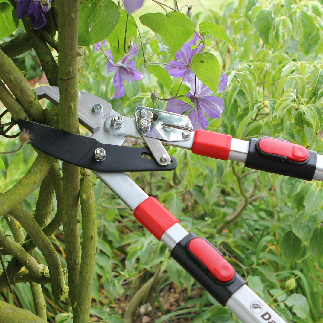 Darlac Telescopic Ratchet Lopper