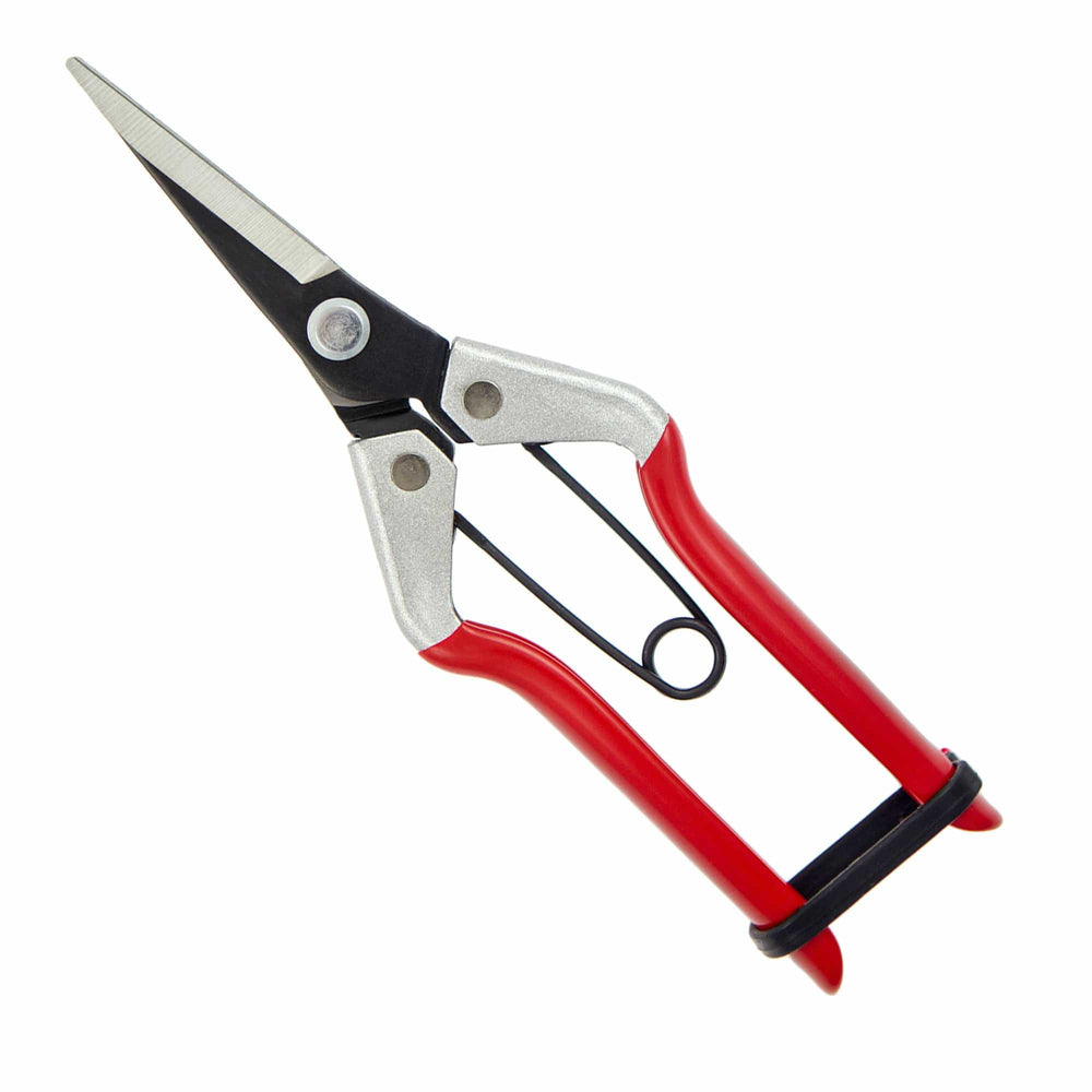 Darlac Vine Scissors