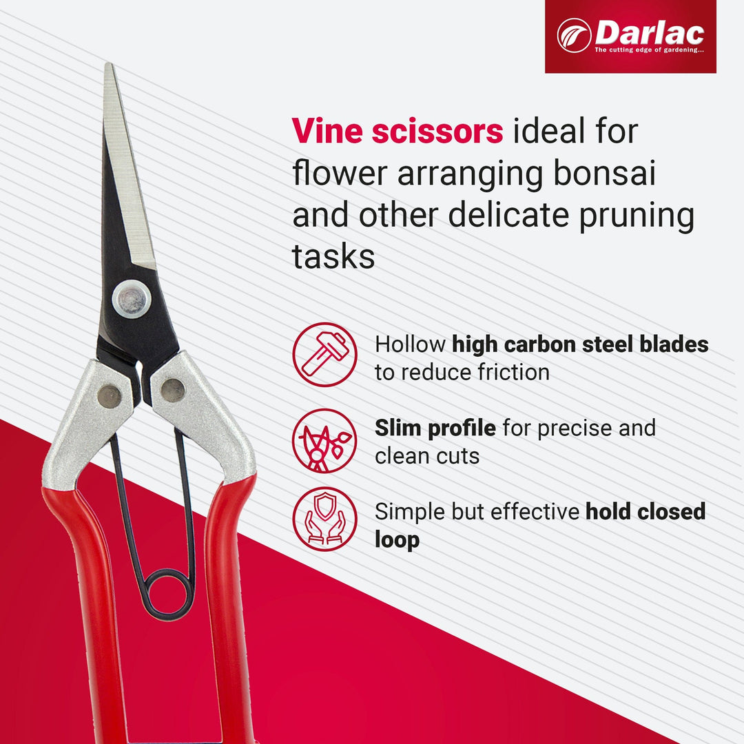 Darlac Vine Scissors