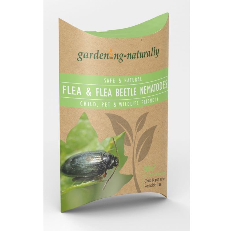 Flea and Flea Beetle Control Nematodes 25sqm x 2 (2 sachets)