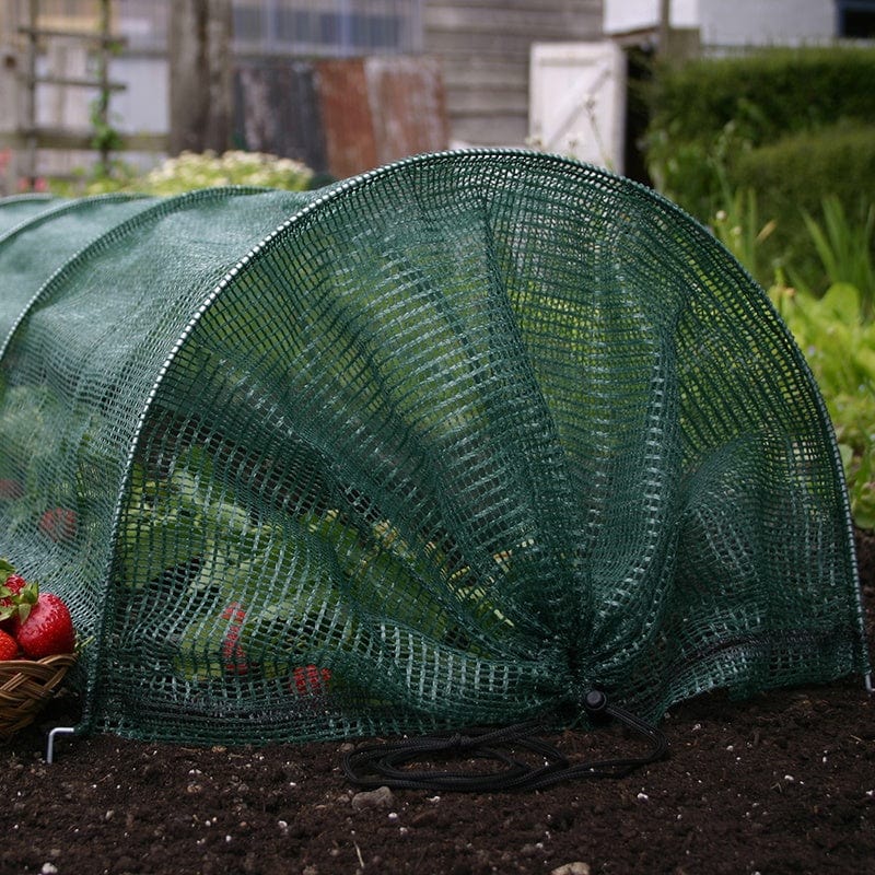 Giant Easy Net Tunnel