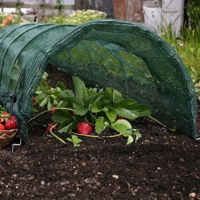 Giant Easy Net Tunnel