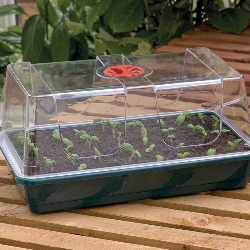 Large High Dome Unheated Propagator