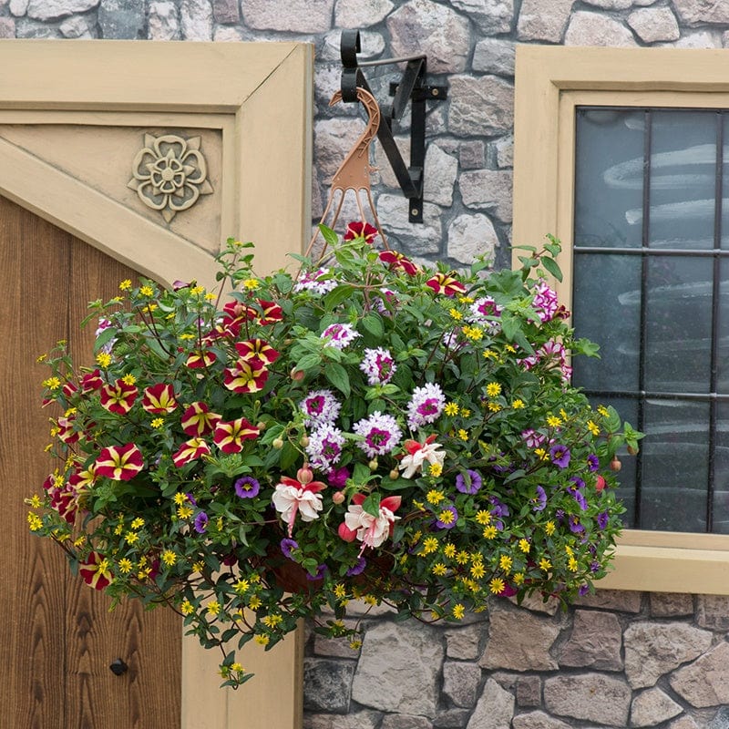 Multi-Coloured Basket Mix