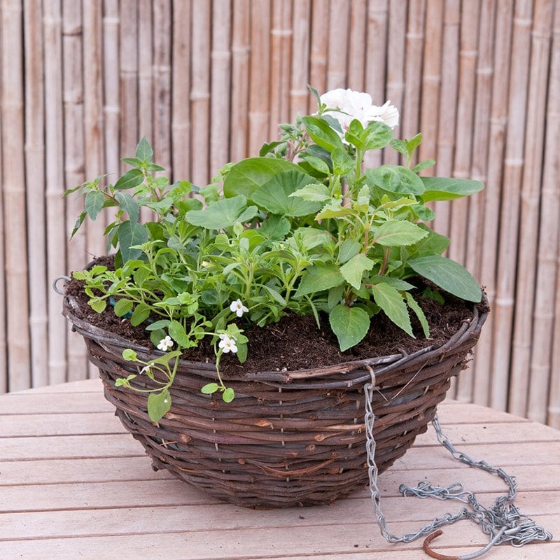 Multi-Coloured Basket Mix