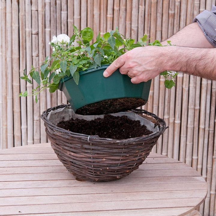 Multi-Coloured Basket Mix