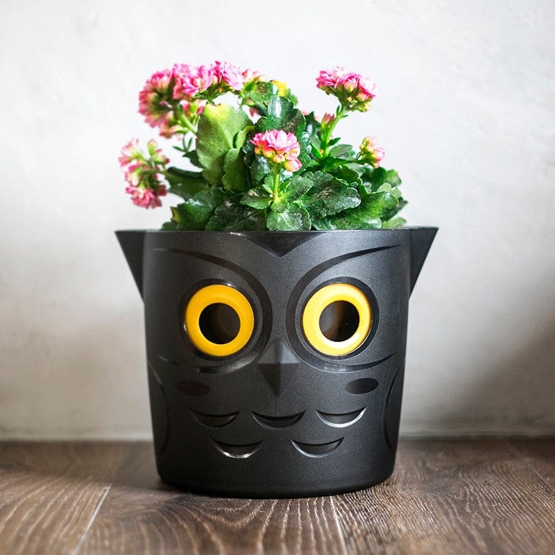 Owl WaterMe Pot