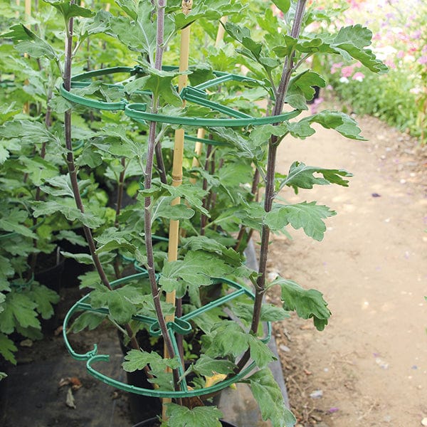 Garden Essentials