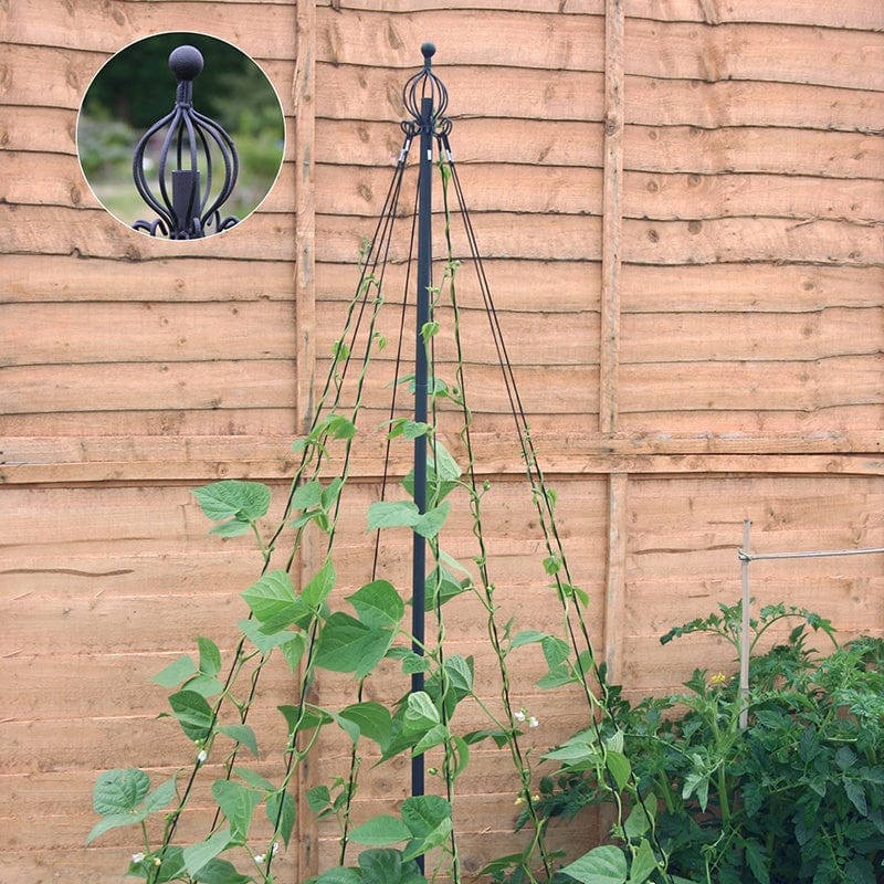 Pea & Bean Wigwam