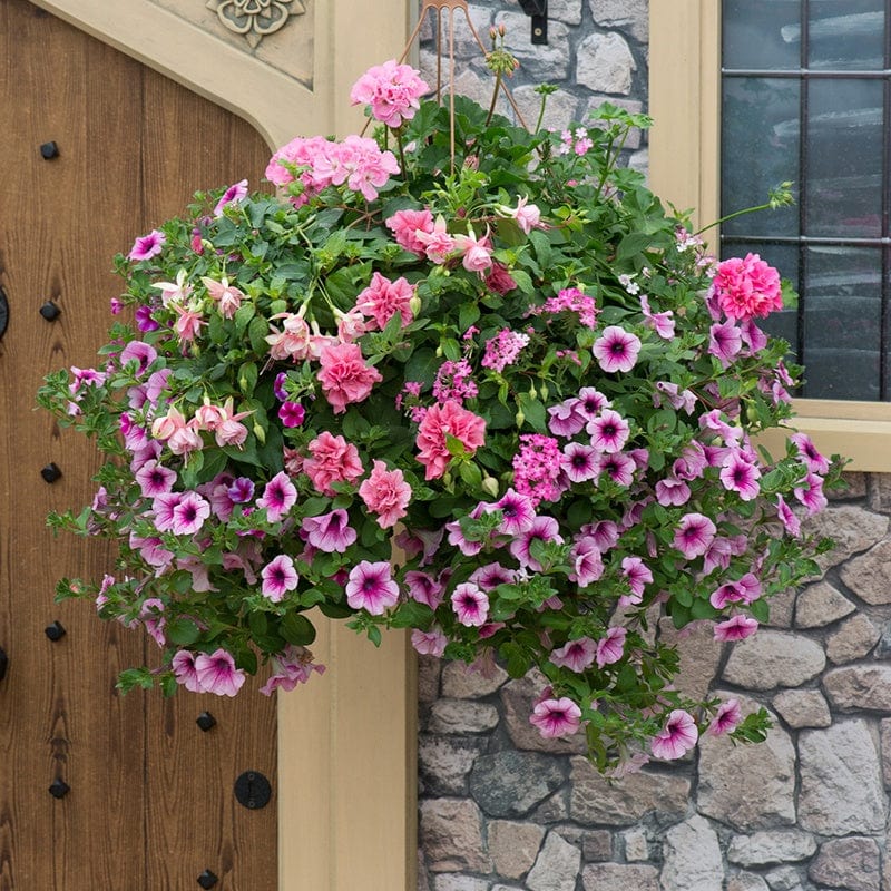 Pink to Rose Basket Mix