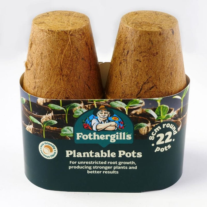 Plantable Pots 22 x 8cm